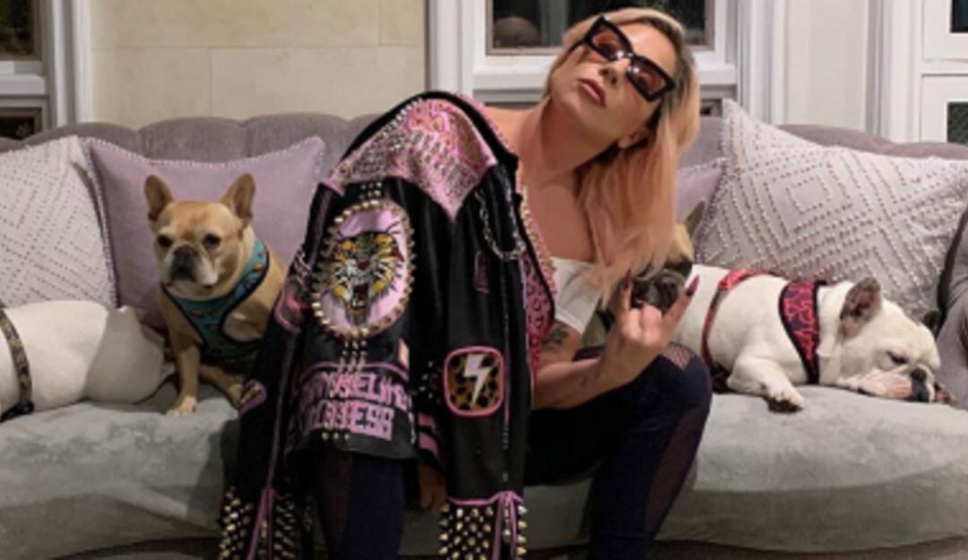 Varios años de cárcel deberá pagar secuestrador de los perros de Lady Gaga