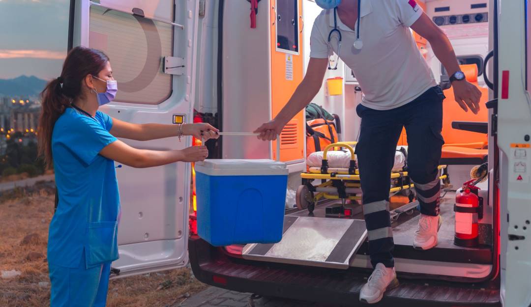 Donaciones by GettyImages