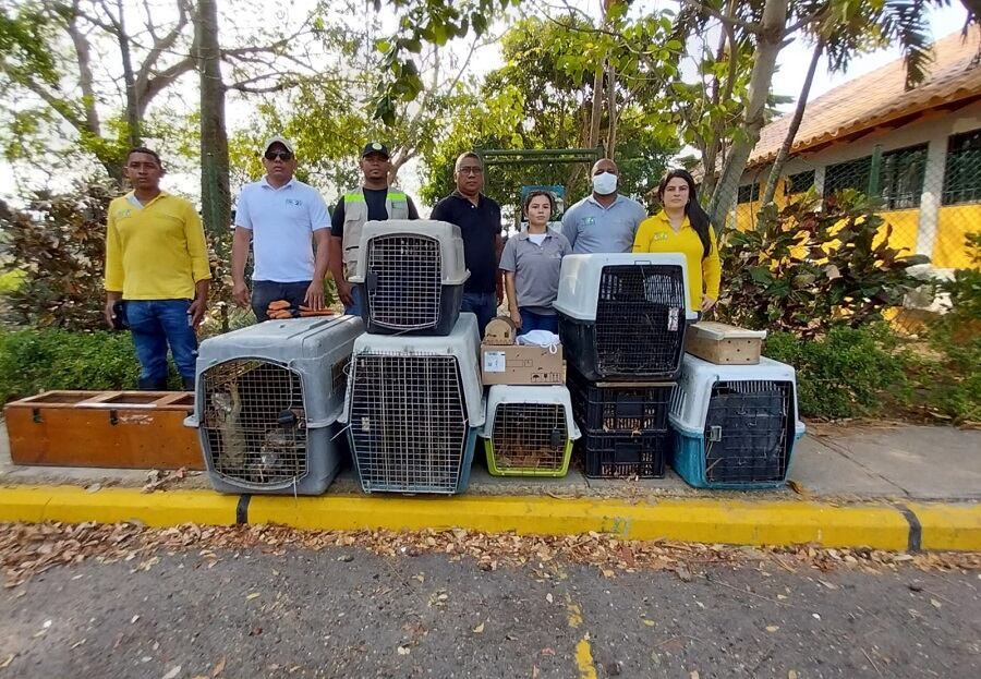 Alcaldía de Cartagena