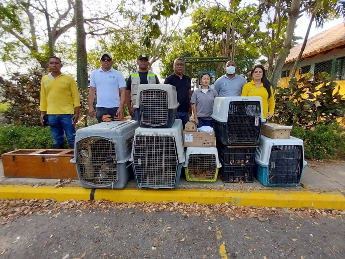EPA Cartagena dispone de línea de atención para reportes de animales silvestres