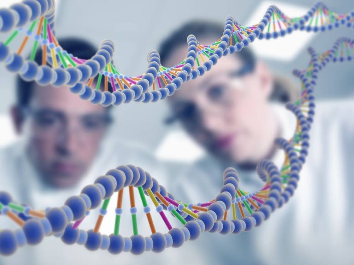 ¡Por fin! Terminaron de decodificar un genoma humano completo