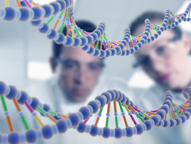 ¡Por fin! Terminaron de decodificar un genoma humano completo
