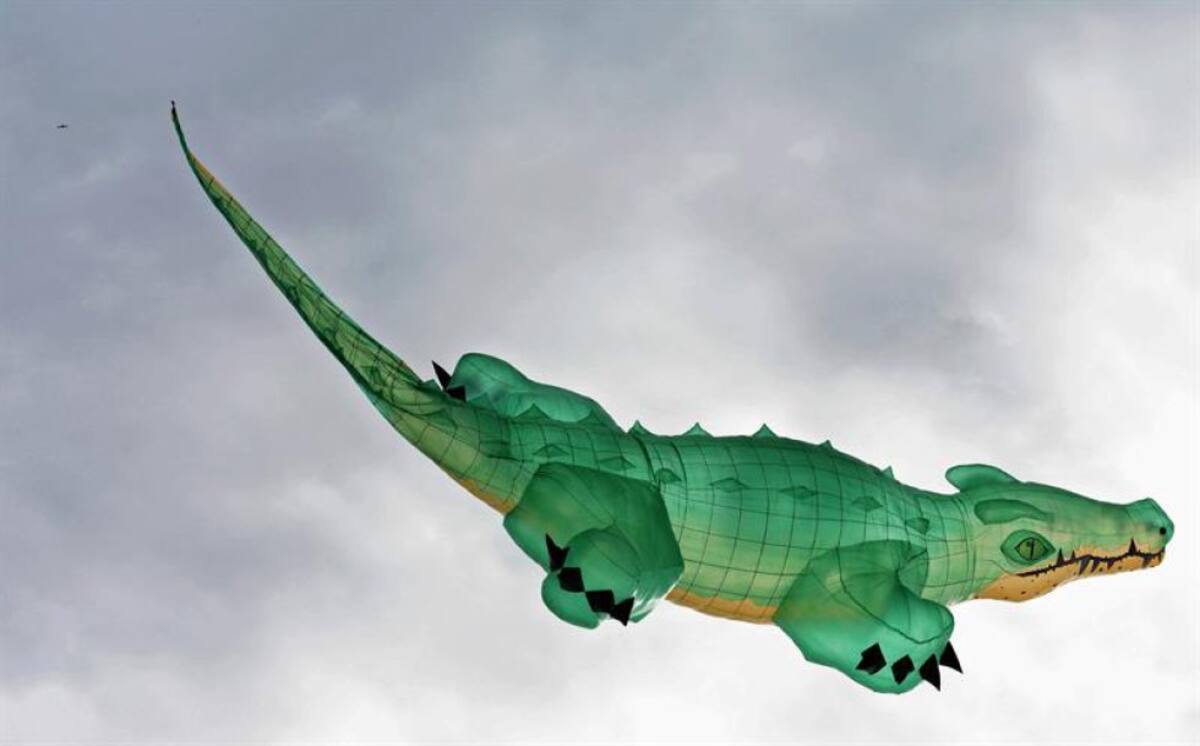 Asimismo, aseguró que con esta nueva edición cumplió los tres objetivos de este espectáculo: "unir a las familias, involucrar a los turistas y mantener la tradiciones". 