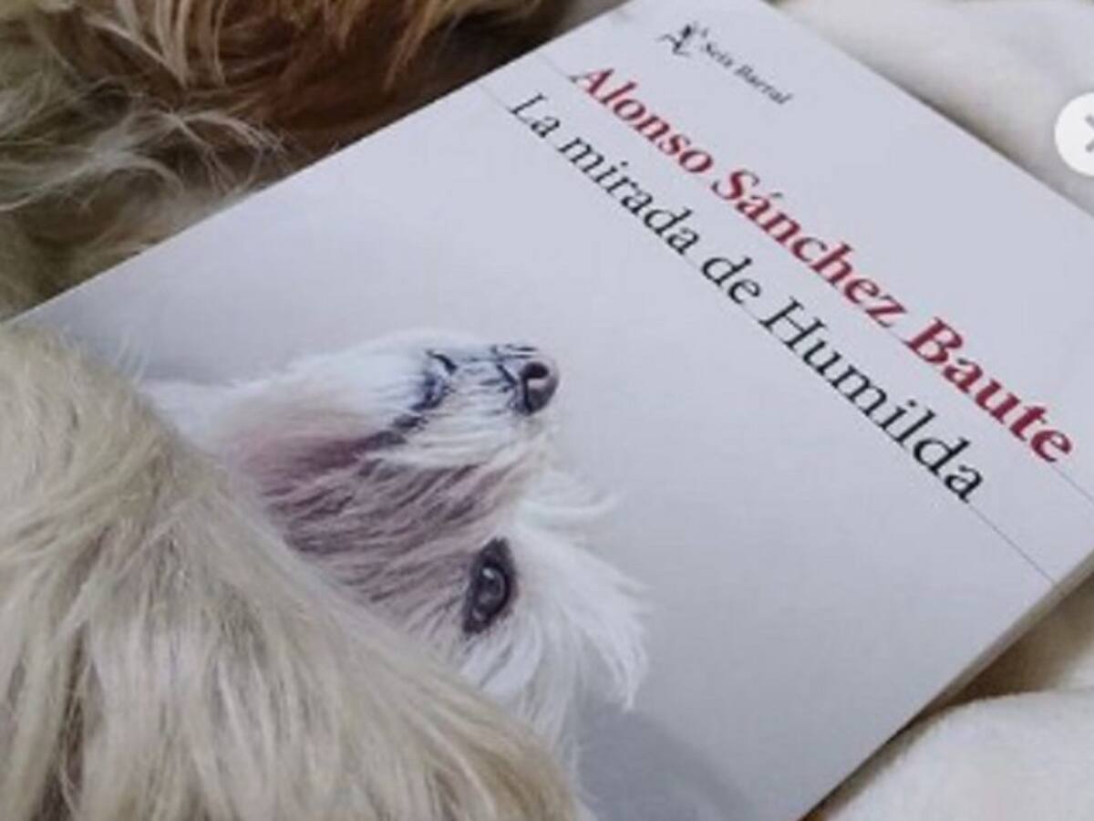 Alonso Sánchez enfocó su libro ‘La mirada de Humilda’ en su perrita fallecida