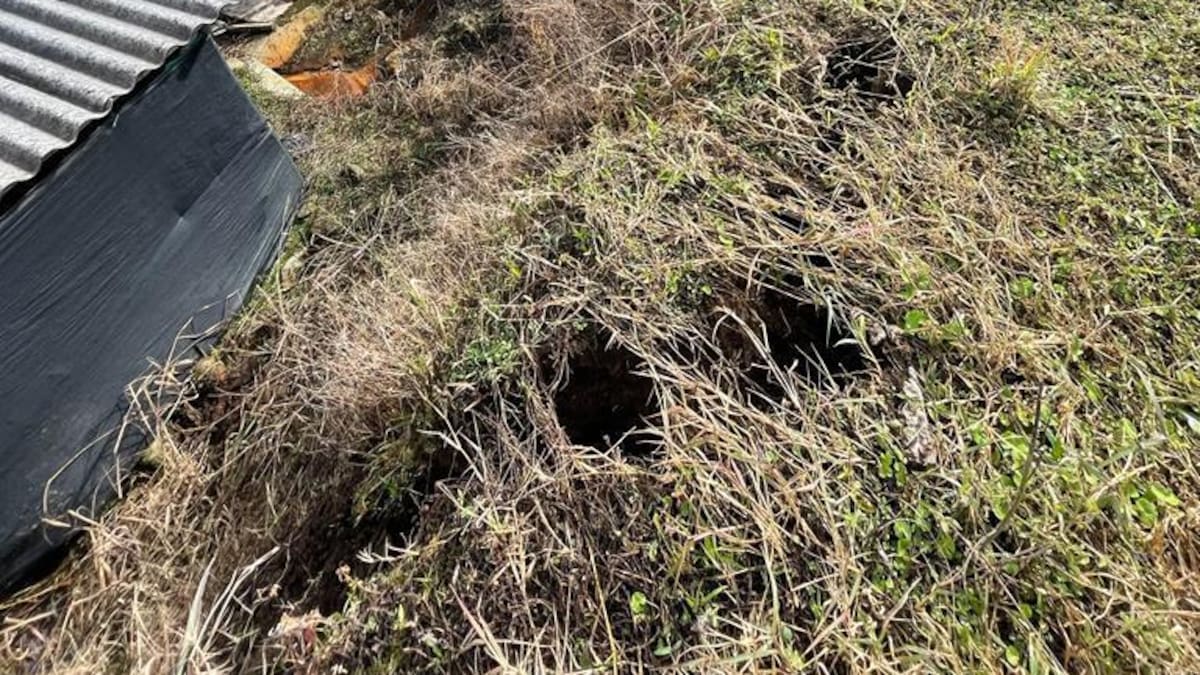 Habitantes del barrio Los Robles en Santa Rosa denuncian afectación en sus viviendas