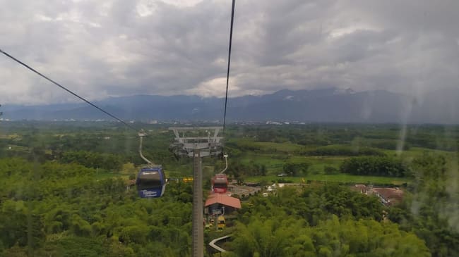 Teleférico en el parque del café
