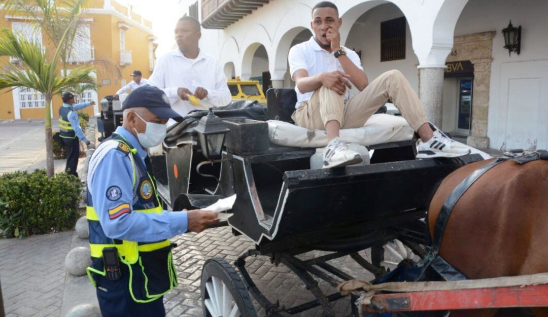 DATT verifica documentación, licencia de conducir del cochero, póliza de seguros, luces, estado de las correas, las llantas y los frenos