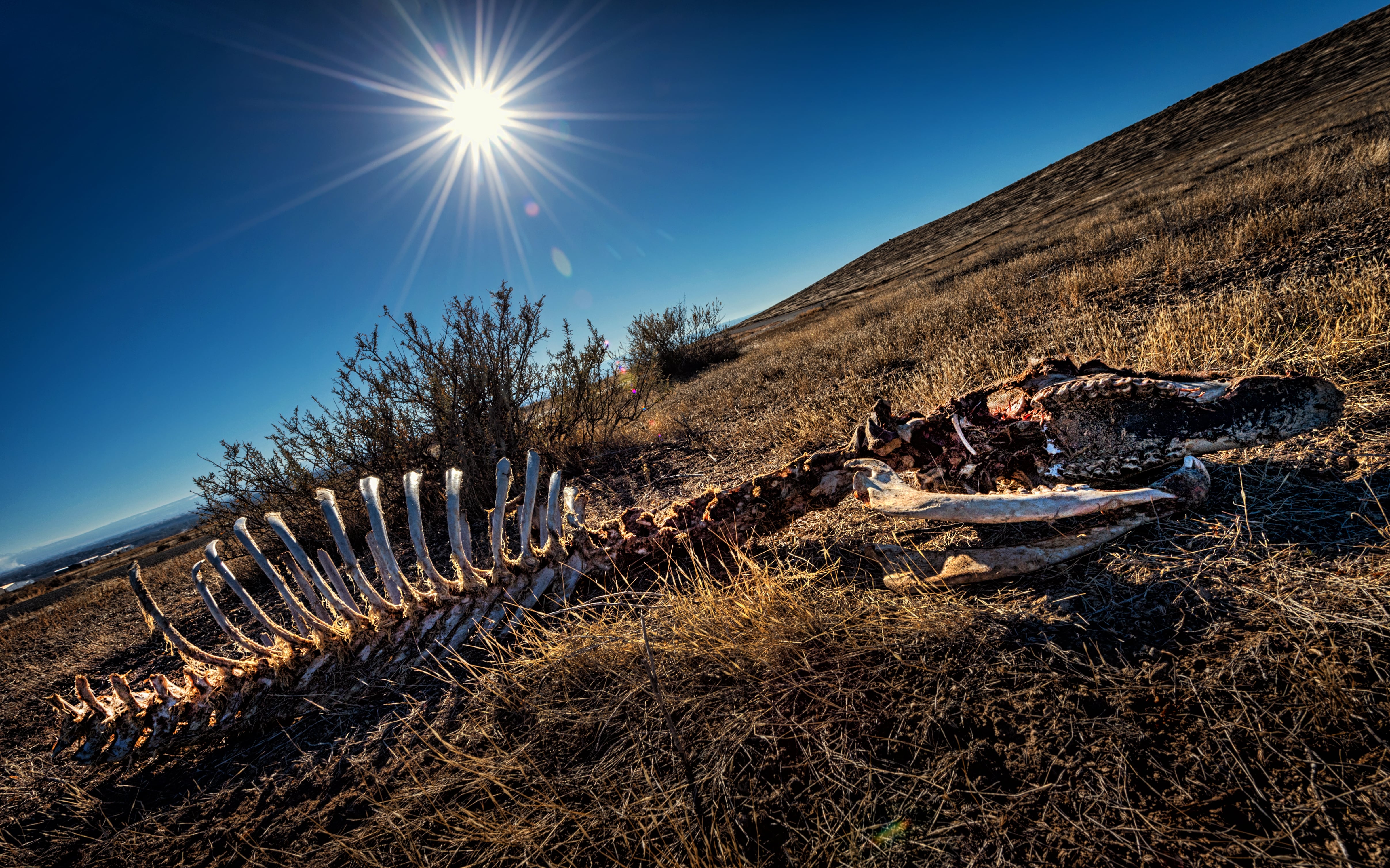 Extinción, imagen de referencia (Getty Images).