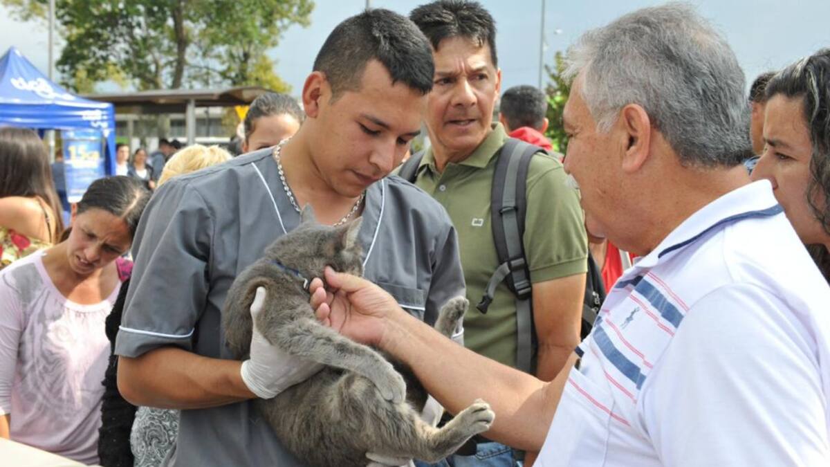 La propuesta ‘Entre Amigos Vamos al Parque’ regresa a Manizales
