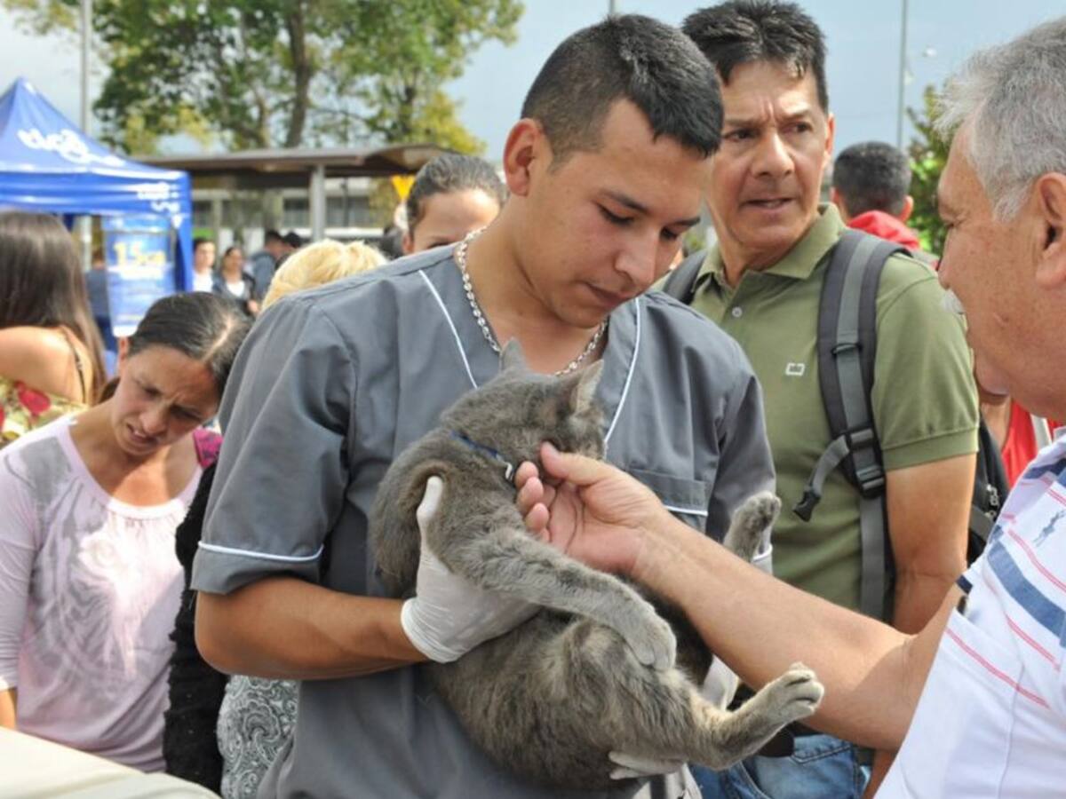 La propuesta ‘Entre Amigos Vamos al Parque’ regresa a Manizales