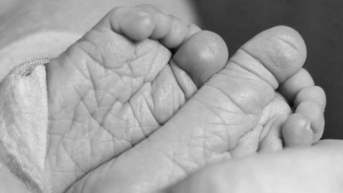 Falsificadores de medicamentos en Valledupar