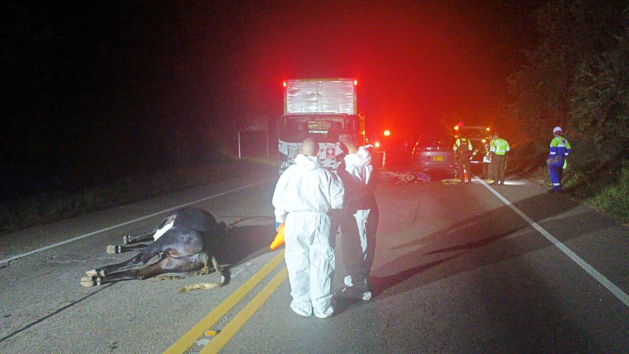 El caso mas reciente dos jovenes y un semoviente pierden la vida en percance vial.