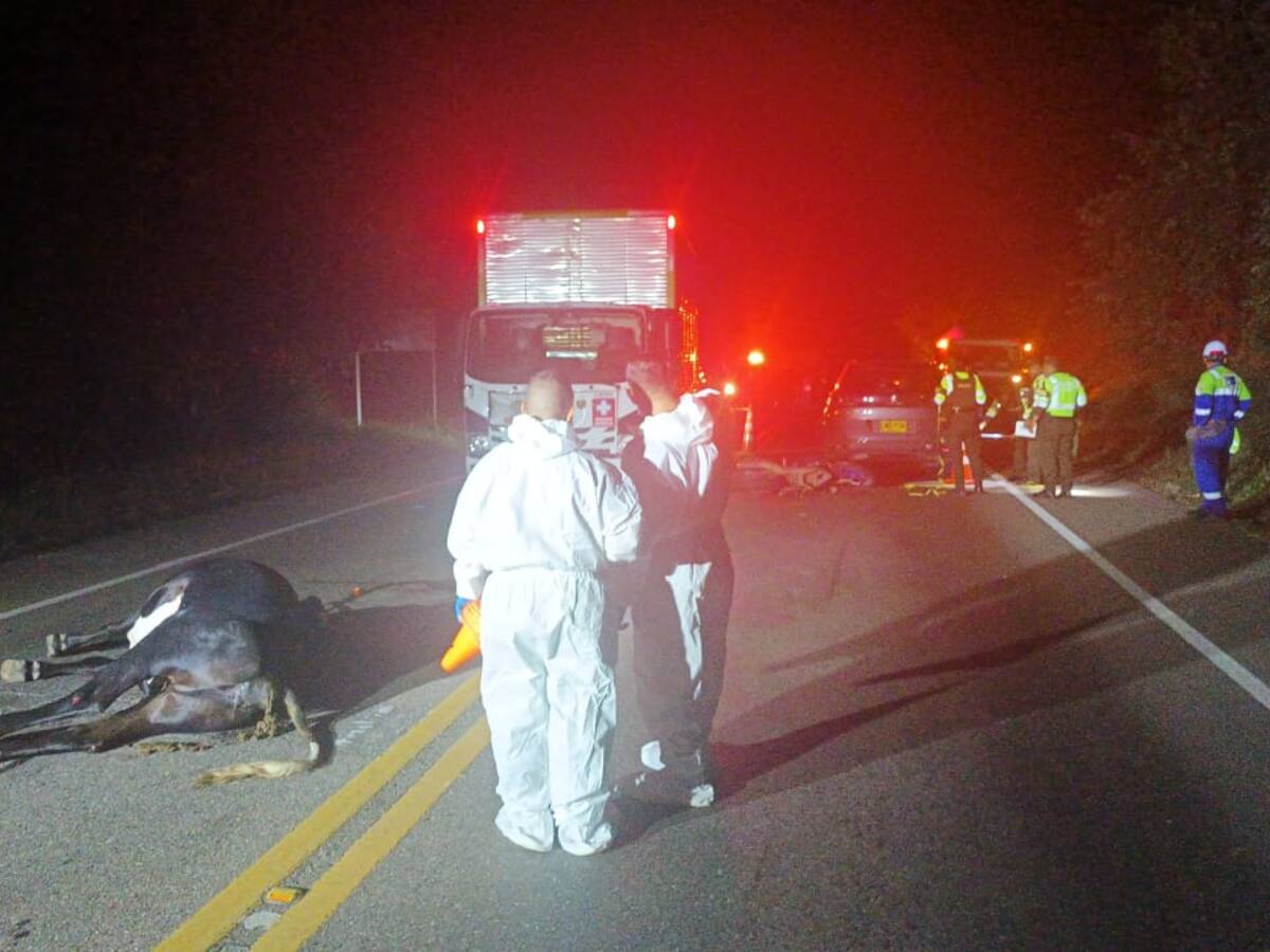 En el Huila en cinco días, 7 muertes por siniestros viales en semana santa.