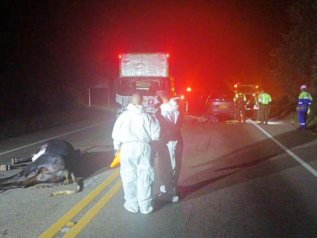 El caso mas reciente dos jovenes y un semoviente pierden la vida en percance vial.