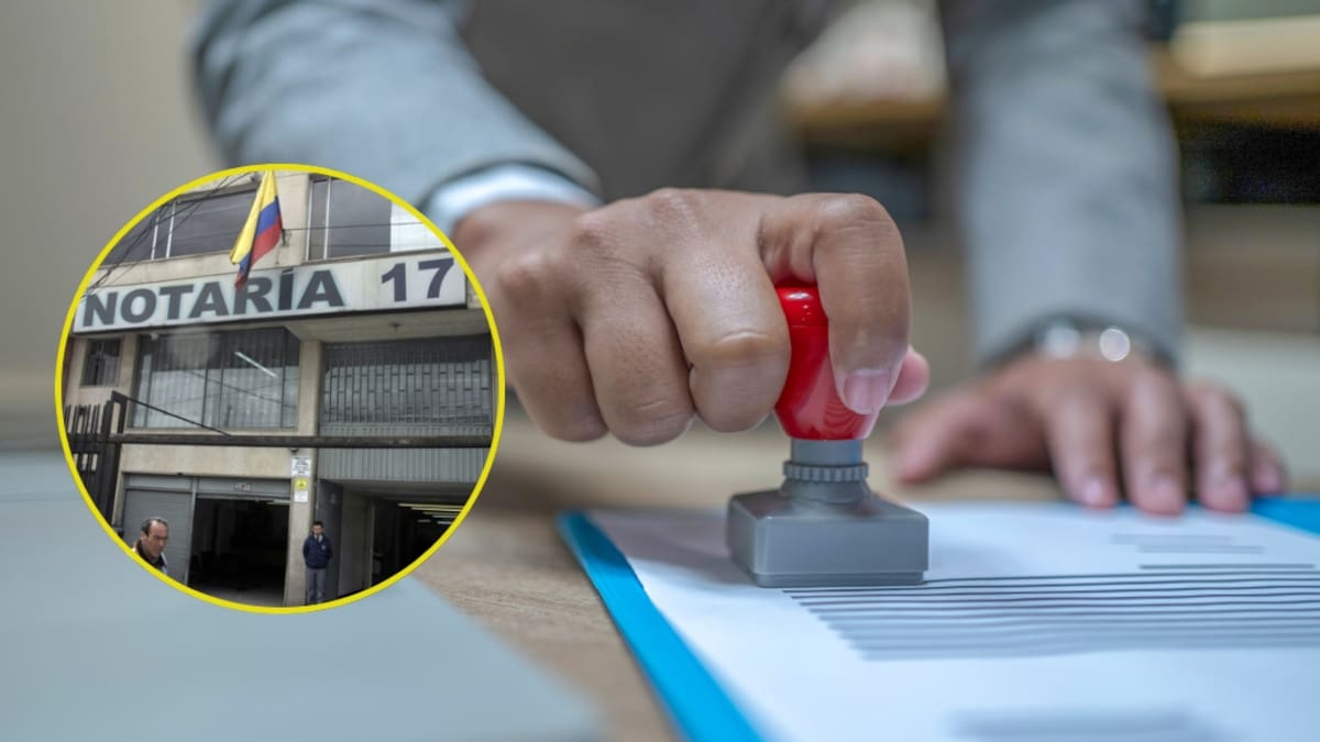 Notarías buscan empleados en Colombia: estos son los requisitos que debe cumplir para aplicar