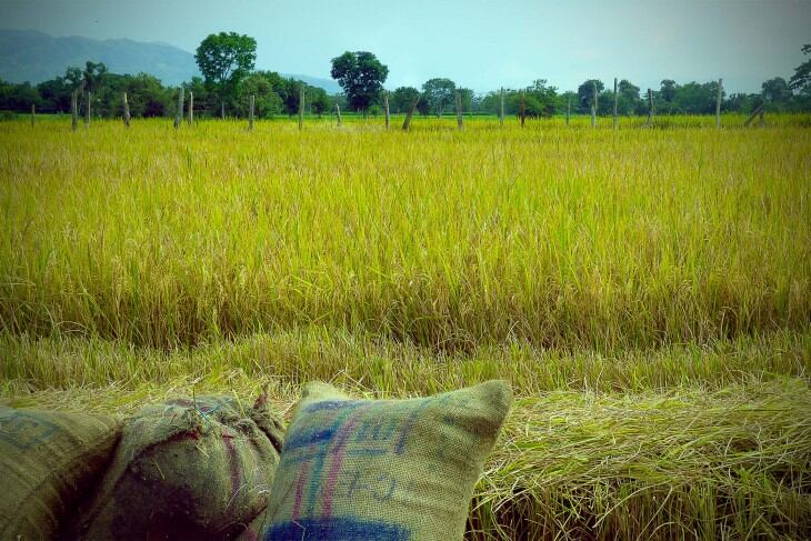 En zona rural de Campoalegre atentado