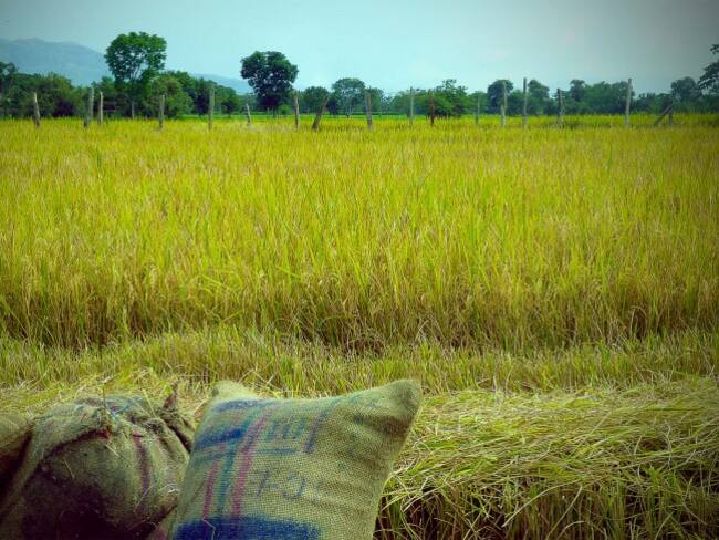 En zona rural de Campoalegre atentado