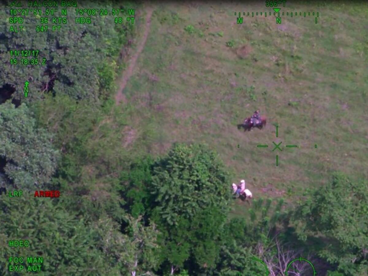 Fueron recuperadas 90 reses que habían sido robadas en Repelón, Atlántico