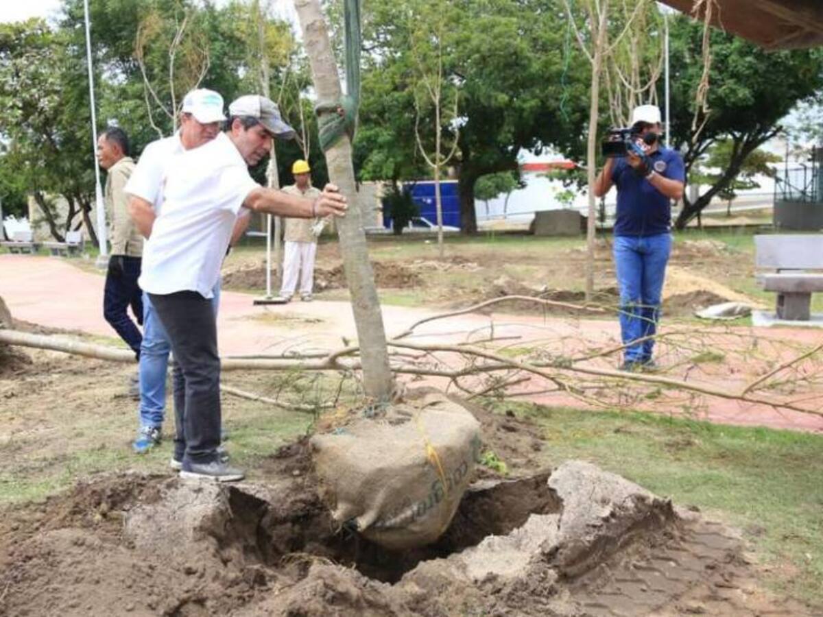 Sembrar 30.000 árboles: la apuesta sostenible en Barranquilla