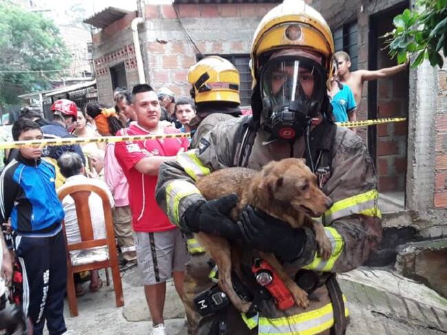 Un perro y seis personas fueron rescatados de las llamas