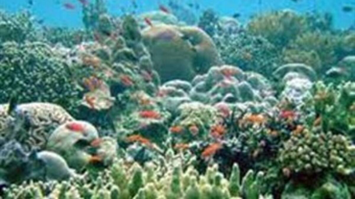 Ya son 20 años de lucha contra la erosión de la biodiversidad