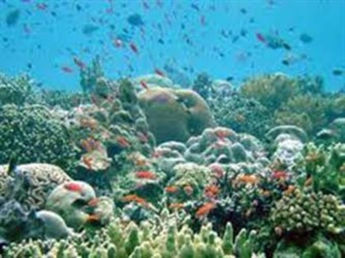 Ya son 20 años de lucha contra la erosión de la biodiversidad