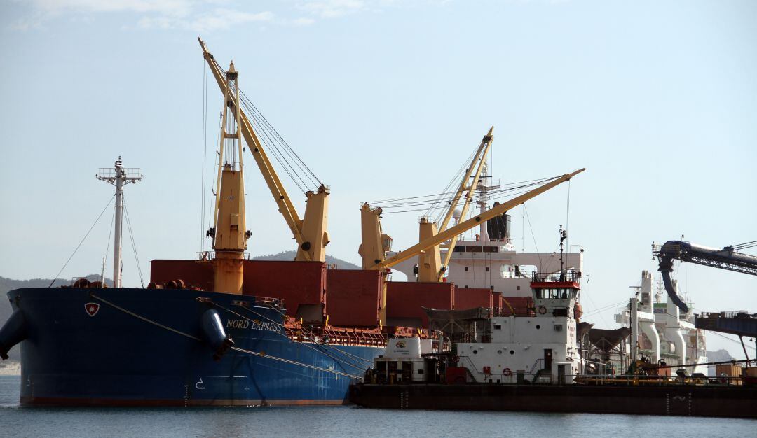 Imagen de referencia