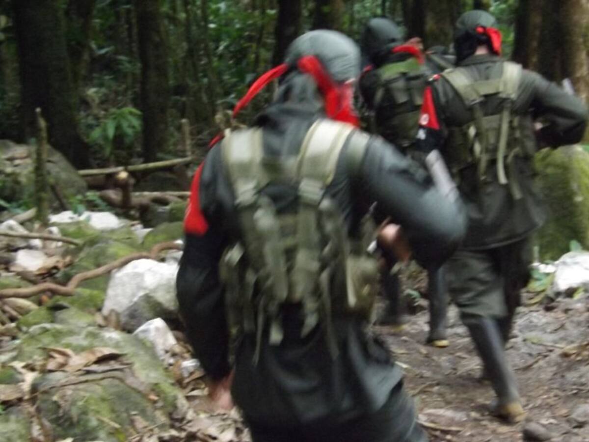 Anuncian otro “paro armado”, esta vez en El Tambo, Cauca