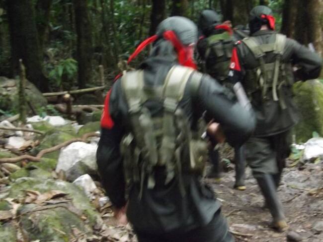 Imagen de referencia