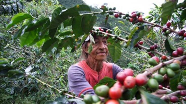 Resumen 10:00 am: Gobierno revela cifra de las ayudas entregadas a cafeteros