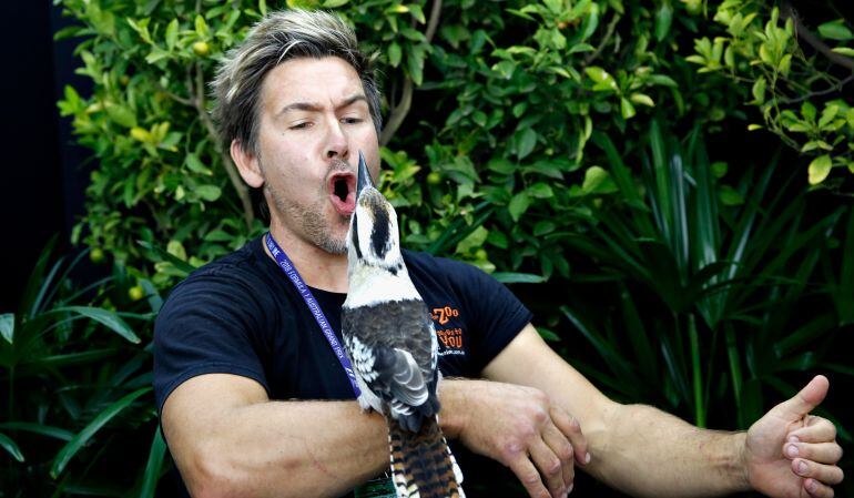 Video: Ave causa sensación por sus particulares carcajadas 