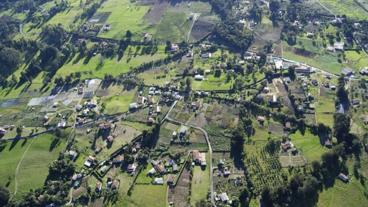 Por primera vez se instalarán Mesas Corregimentales del Distrito Rural Campesino