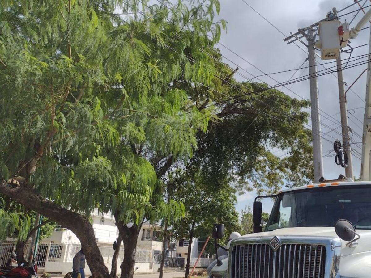 Programación de Afinia entre el 1 y 3 de agosto en Cartagena y Bolívar