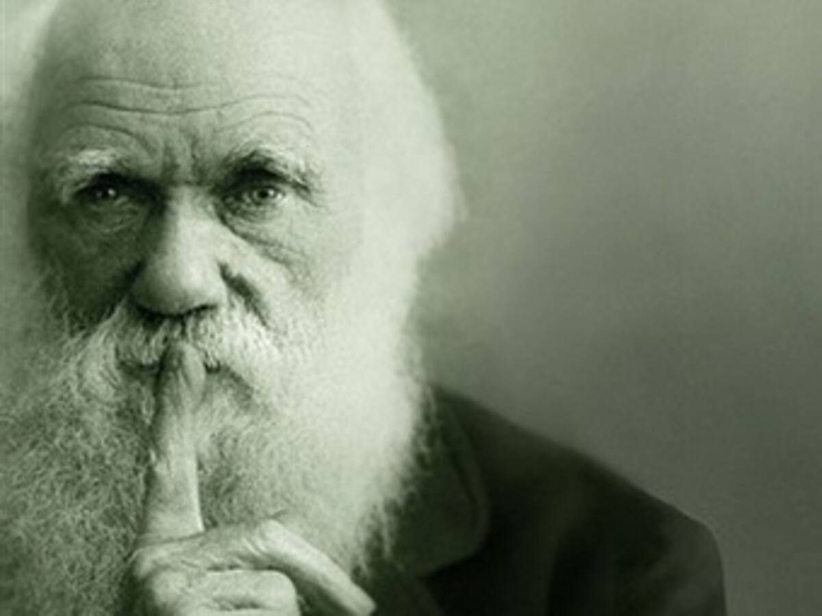 Darwin sentía que con su teoría de la evolución confesaba "un asesinato"