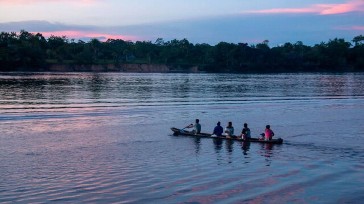 La mayoría de jóvenes colombianos desconocen las problemáticas de Amazonía