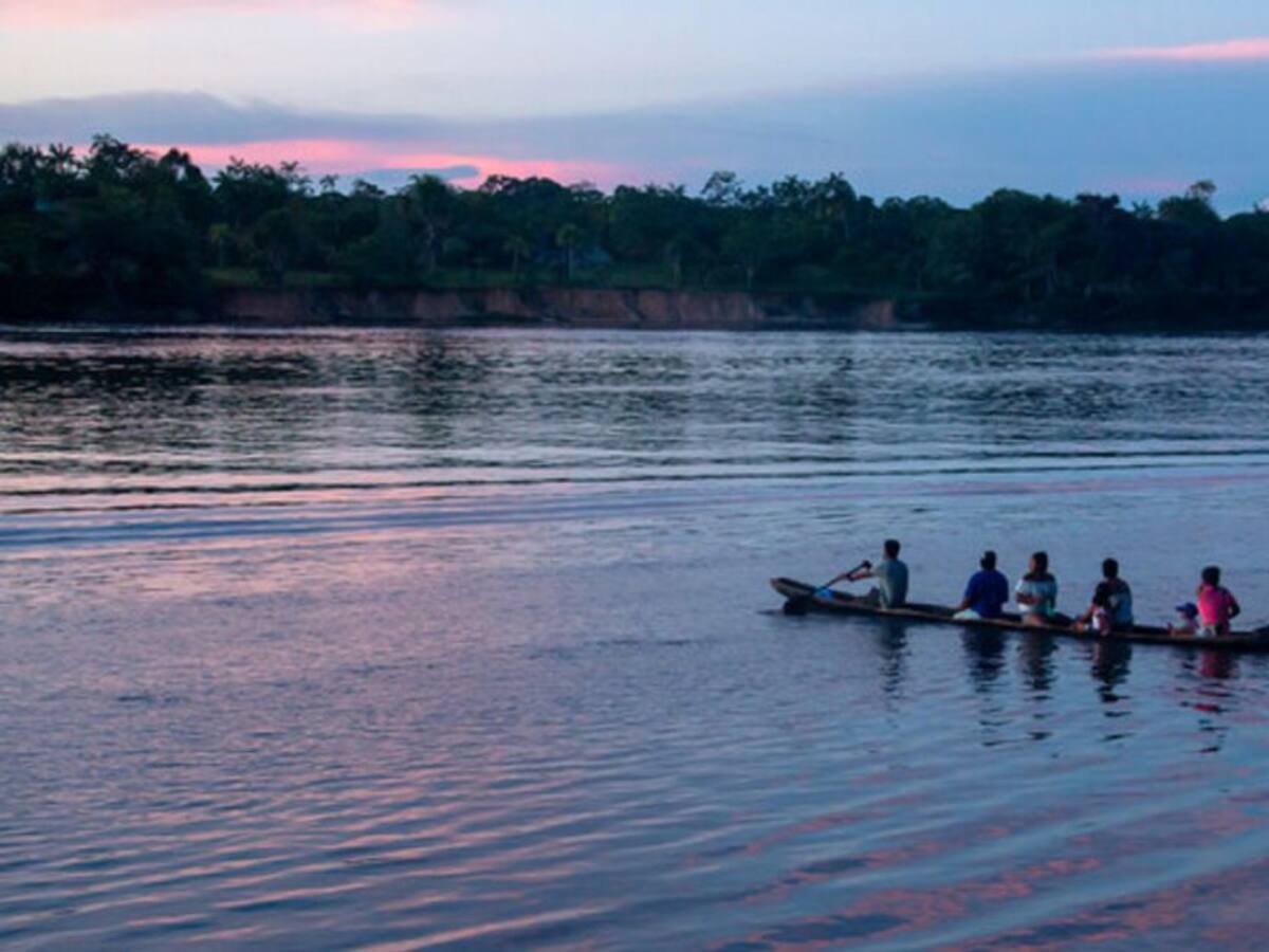 La mayoría de jóvenes colombianos desconocen las problemáticas de Amazonía