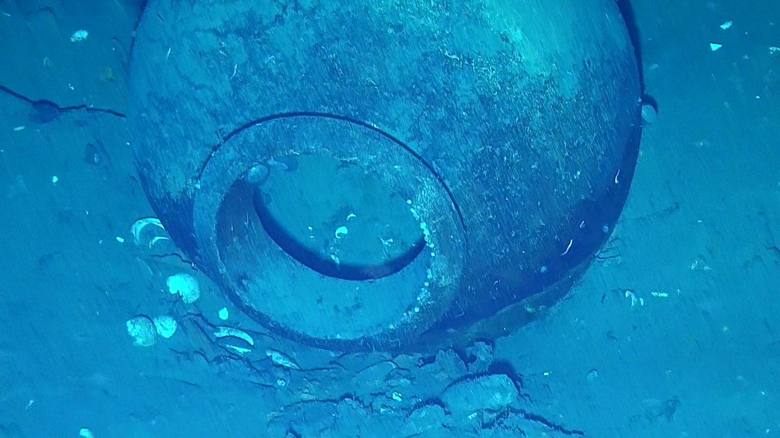 Armada halló nuevas piezas arqueológicas del Galeón San José. Foto: Suministrada.