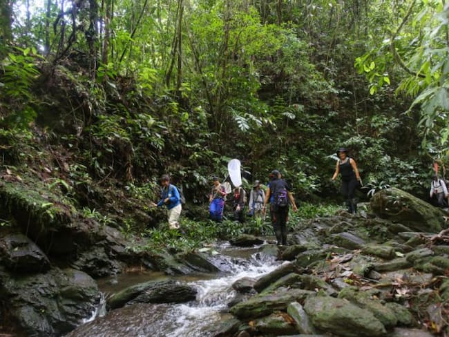 Bioexpedición Anorí halló 14 nuevas especies en Antioquia