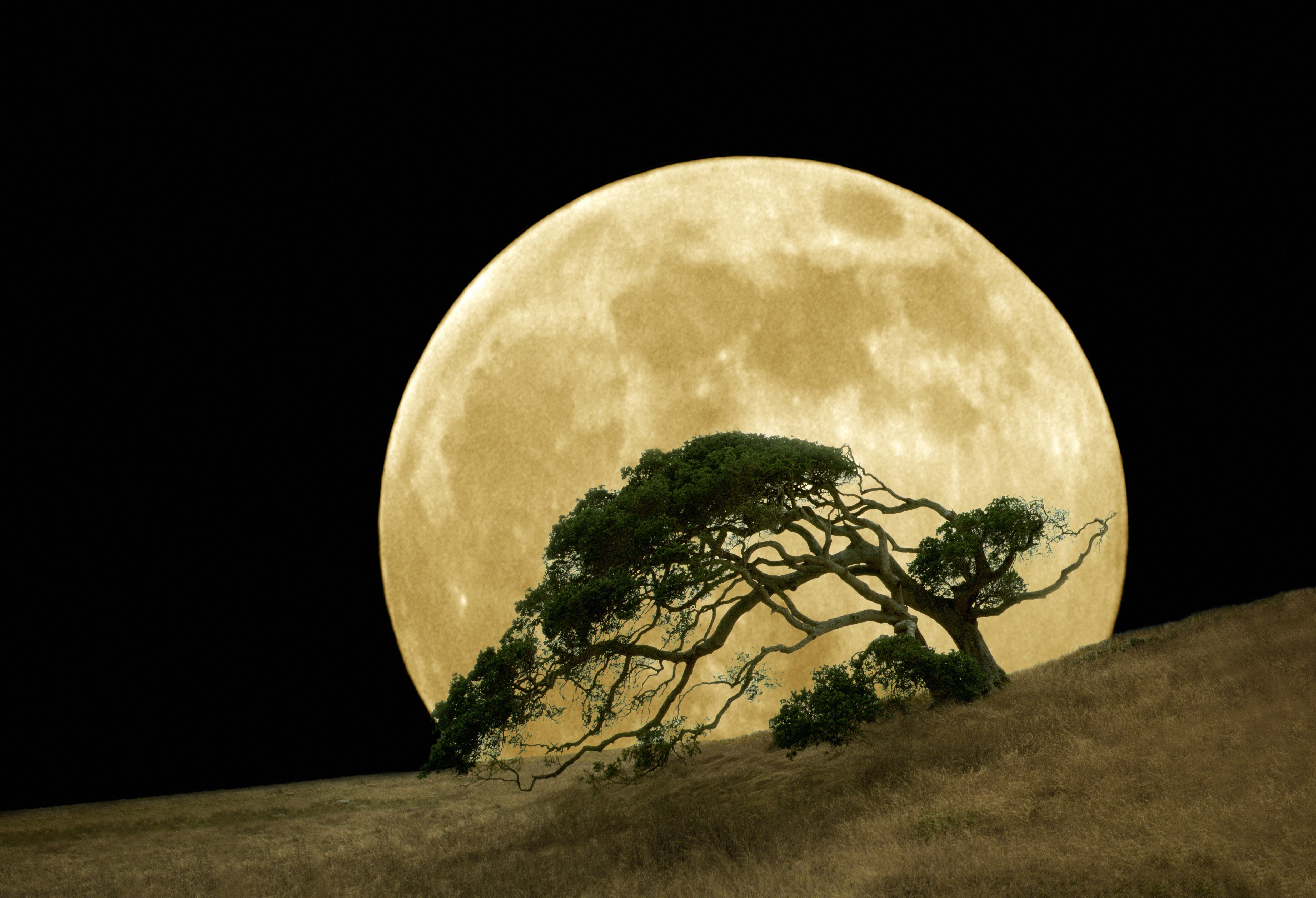 Luna llena enero 2025. Imagen de referencia vía Getty Images
