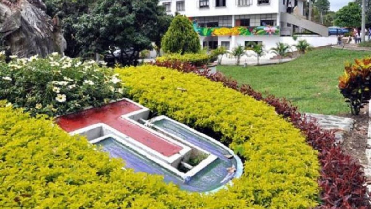 Así será la reanudación de actividades en la U. del Tolima