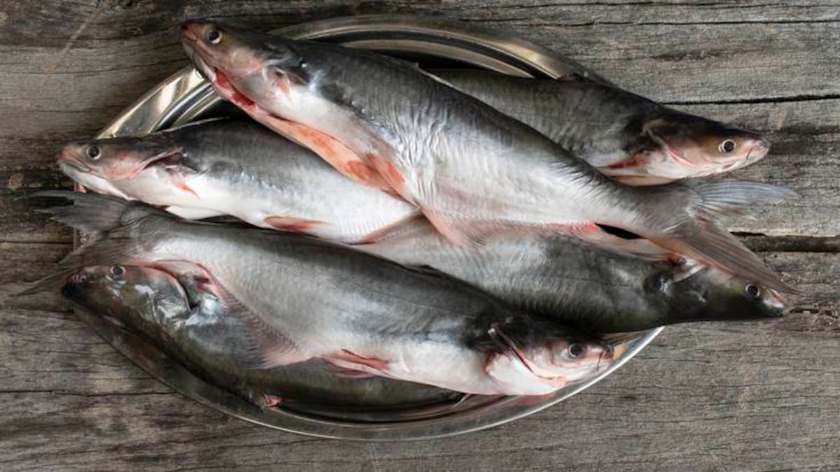 Recomendaciones para el consumo de pescado en época de cuaresma