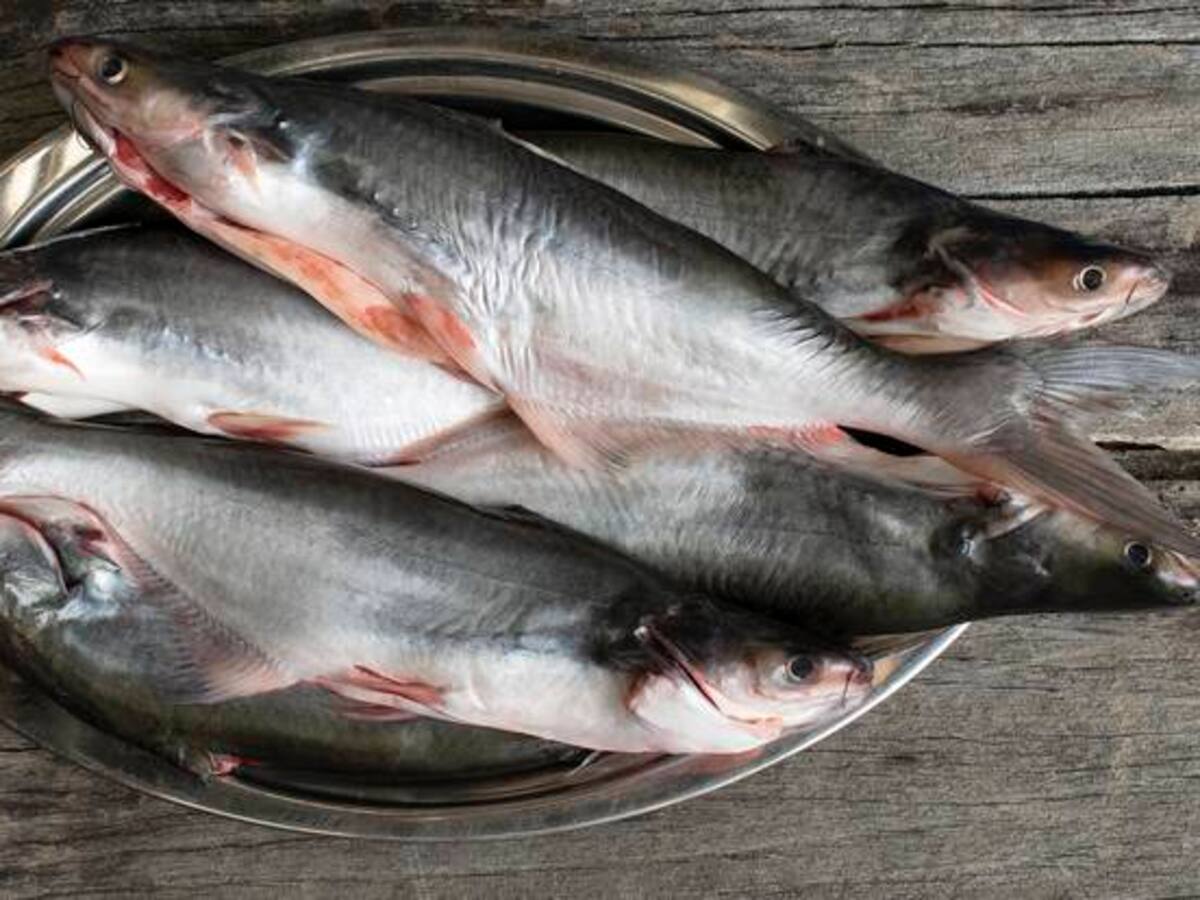 Recomendaciones para el consumo de pescado en época de cuaresma