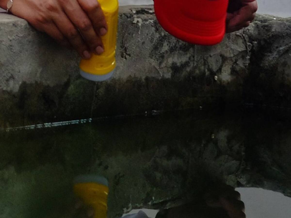 Valle del Cauca decretó Alerta Amarilla por aumento de casos de Dengue