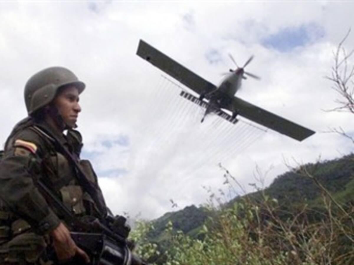 El terreno supuestamente afectado por daños de fumigación no fue verificado: Policía