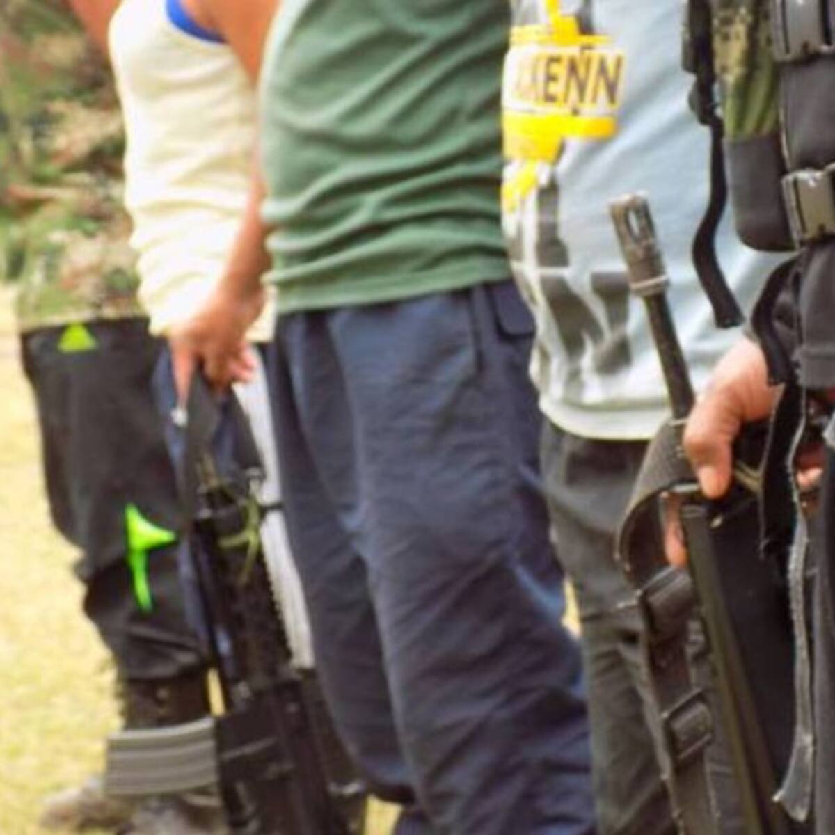 Senador del Partido Comunes propone cese bilateral al fuego entre todos los actores armado