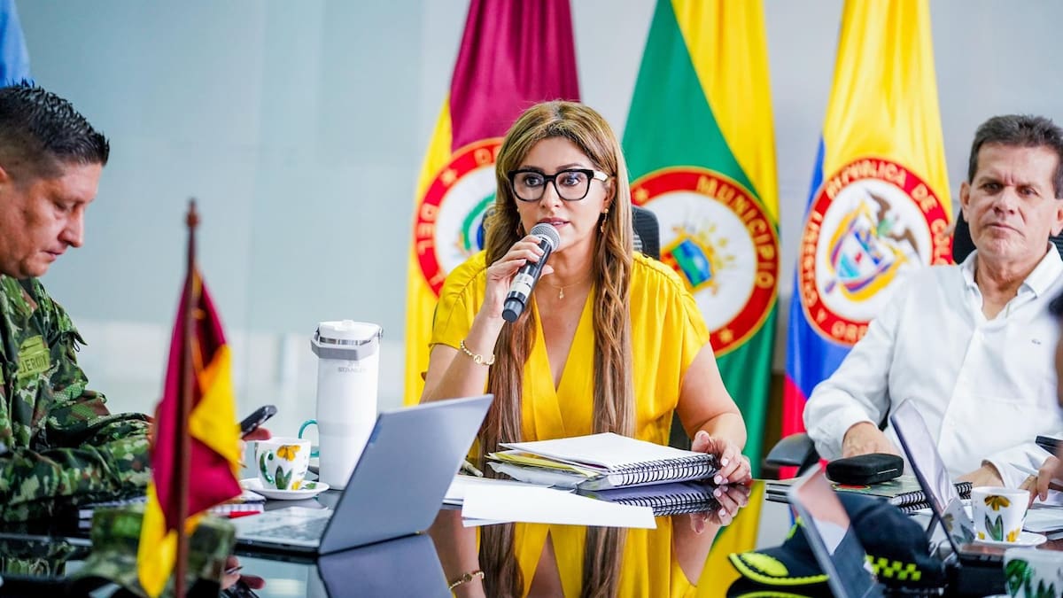 “La minería ilegal es el nuevo narcotráfico que financia la guerra: gobernadora del Tolima