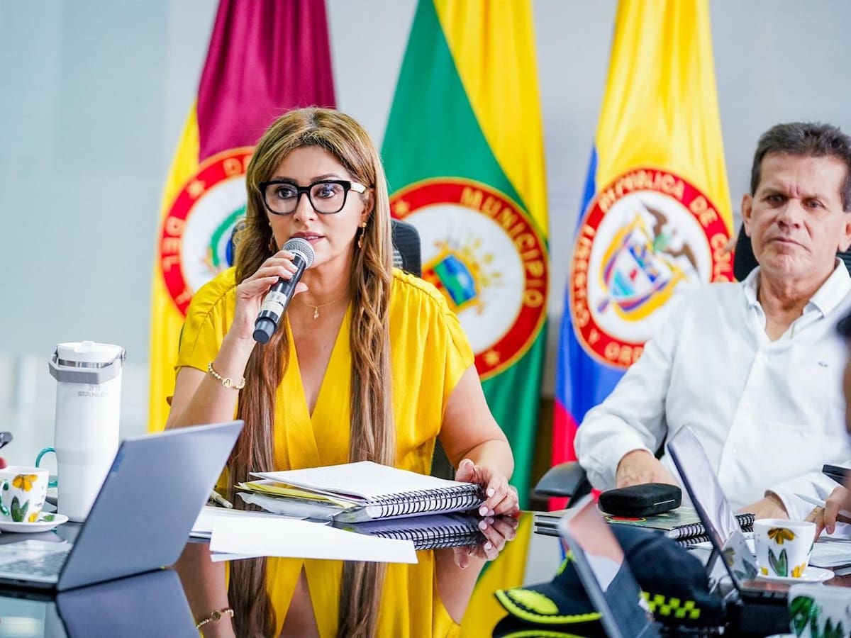 “La minería ilegal es el nuevo narcotráfico que financia la guerra: gobernadora del Tolima