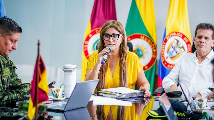 “La minería ilegal es el nuevo narcotráfico que financia la guerra: gobernadora del Tolima