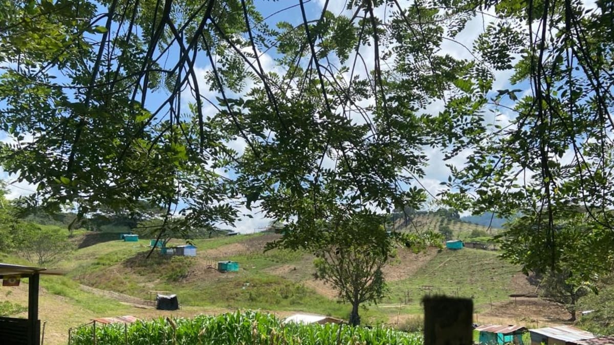 Polémica en Risaralda por entrega de un lote en La Virginia dentro de la reforma agraria