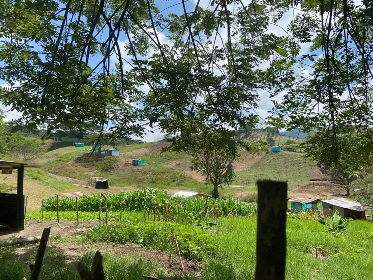 Polémica en Risaralda por entrega de un lote en La Virginia dentro de la reforma agraria